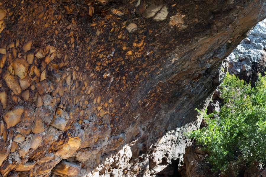 0 Bedroom Property for Sale in Haarlem Western Cape